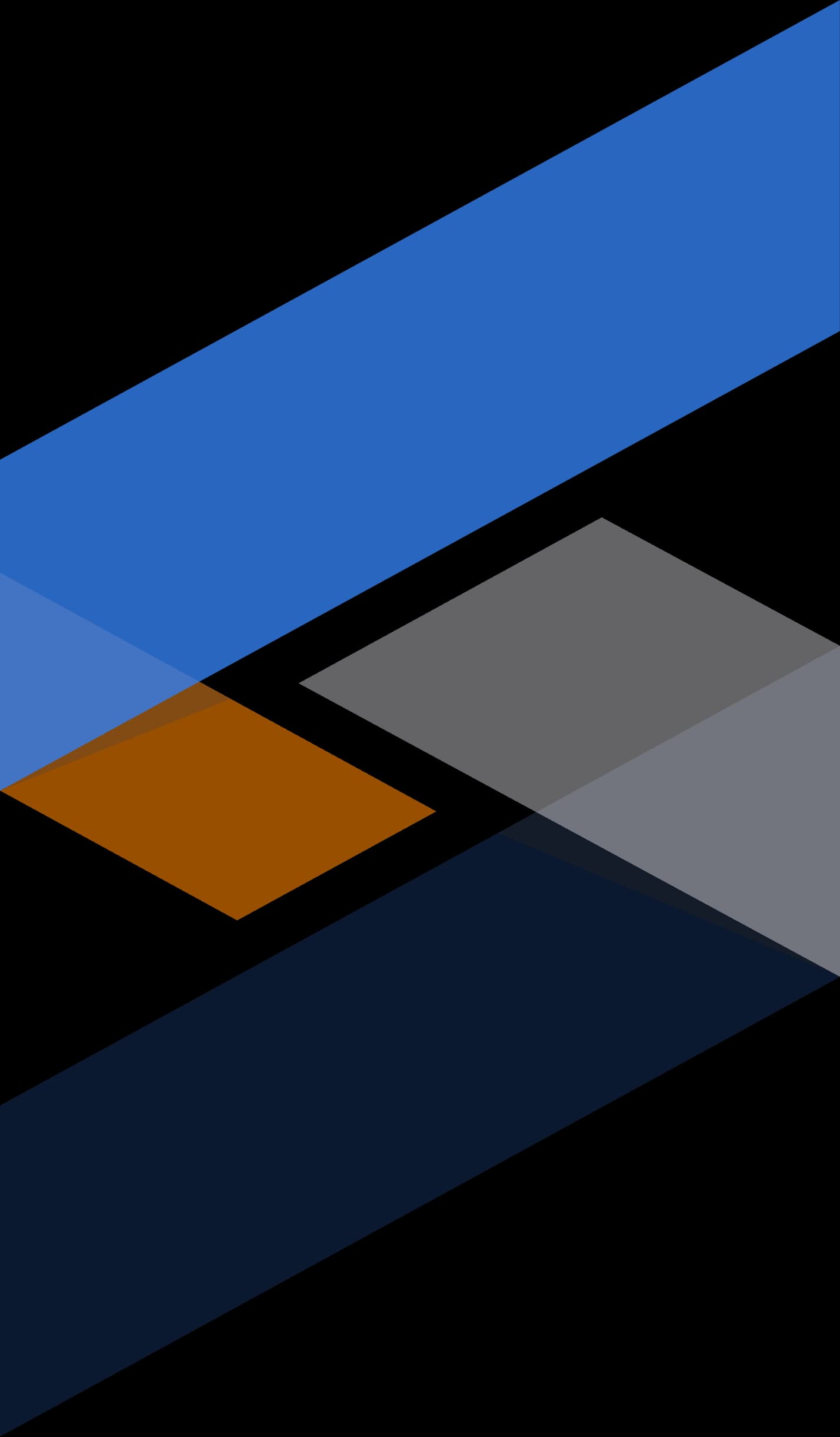 vns-logo-holder